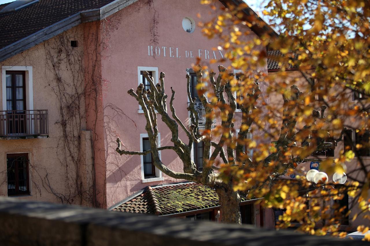 Logis Hotel De France La Cote-Saint-Andre Ngoại thất bức ảnh